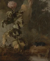 Eine ägyptische Mohnblume und eine Wasserratte